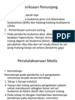 Pemeriksaan Penunjang