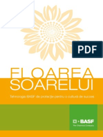 Brour Floarea Soarelui