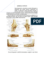 artroza secundară a articulației cotului dureri articulare și aerobic