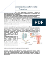 Malformaciones Del Aparato Genital Femenino