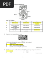 Soalan Biologi Tingkatan 4