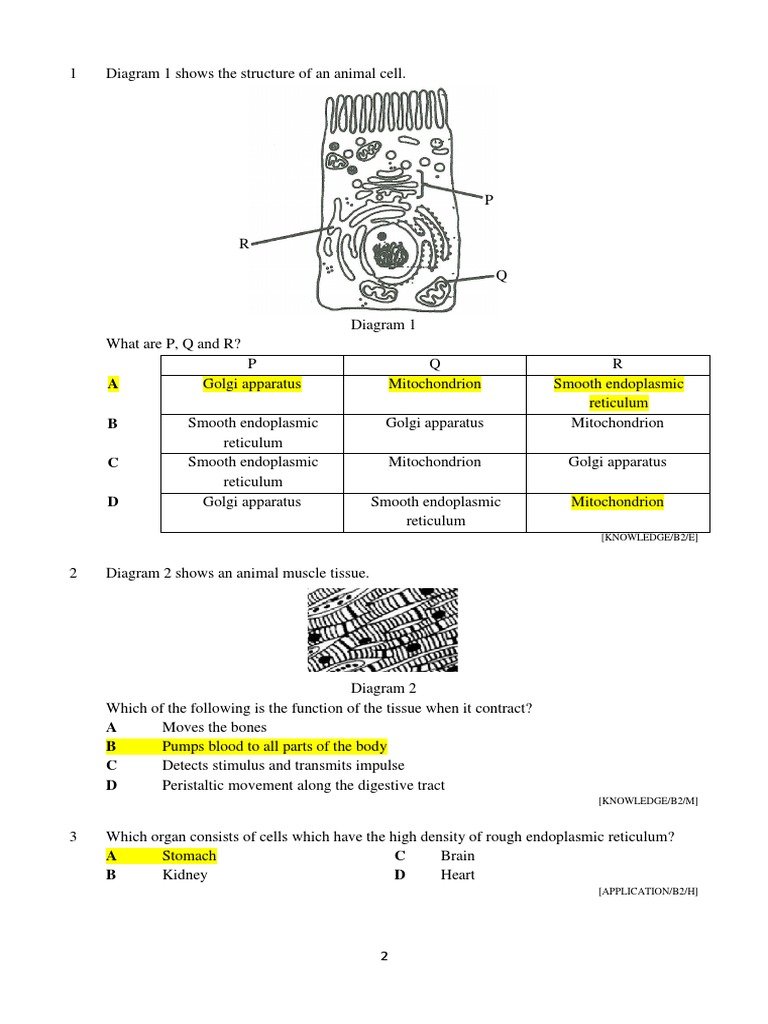 Soalan Biologi Tingkatan 4 - Rudiju