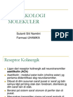 kolinergik