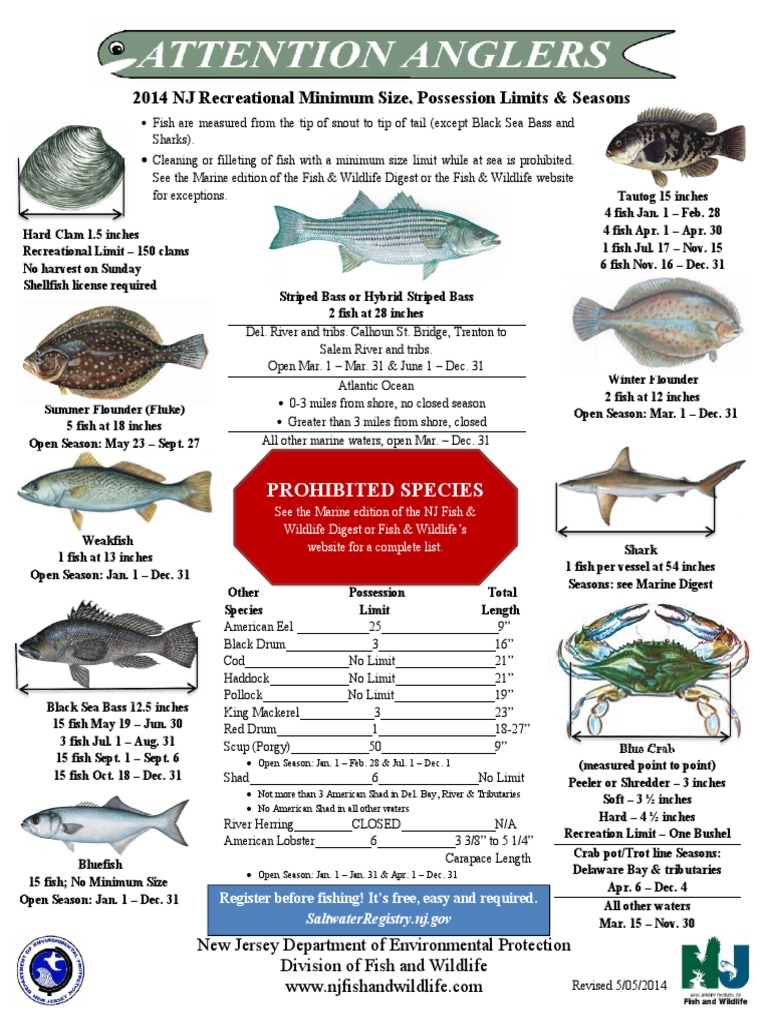 New Jersey Recreational Marine Fishing Regulations 2014 PDF Fish