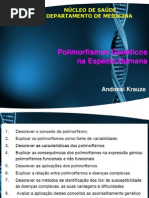 Polimorfismos Genéticos