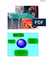 SMCretoiu Renal Slides