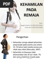 Download Presentasi  Kehamilan Pada Remaja by vinda astri permatasari SN224710971 doc pdf