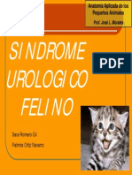 Síndrome Urológico Felino PDF