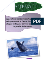 BALLENAS