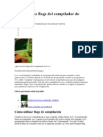 Qué Son Los Flags Del Compilador de C++