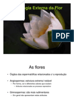 Morfologia Externa Da Flor