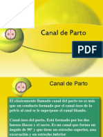 canal del parto.pptx