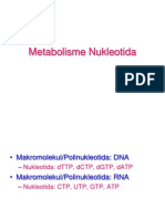 4. Metabolisme Nukleotida