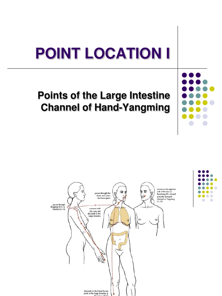 Large Intestine Acupuncture Points Guide | PDF | Human Nose | Elbow