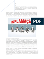 O Que É Inflamação