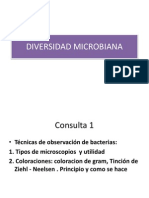 Clase de Diversidad Microbiana2014