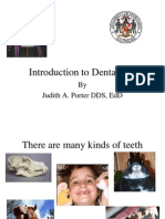 Introduction to Dental Terms 2