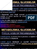 Curs Nr. 9 - Catabolism Glucide - Ciclul Atc