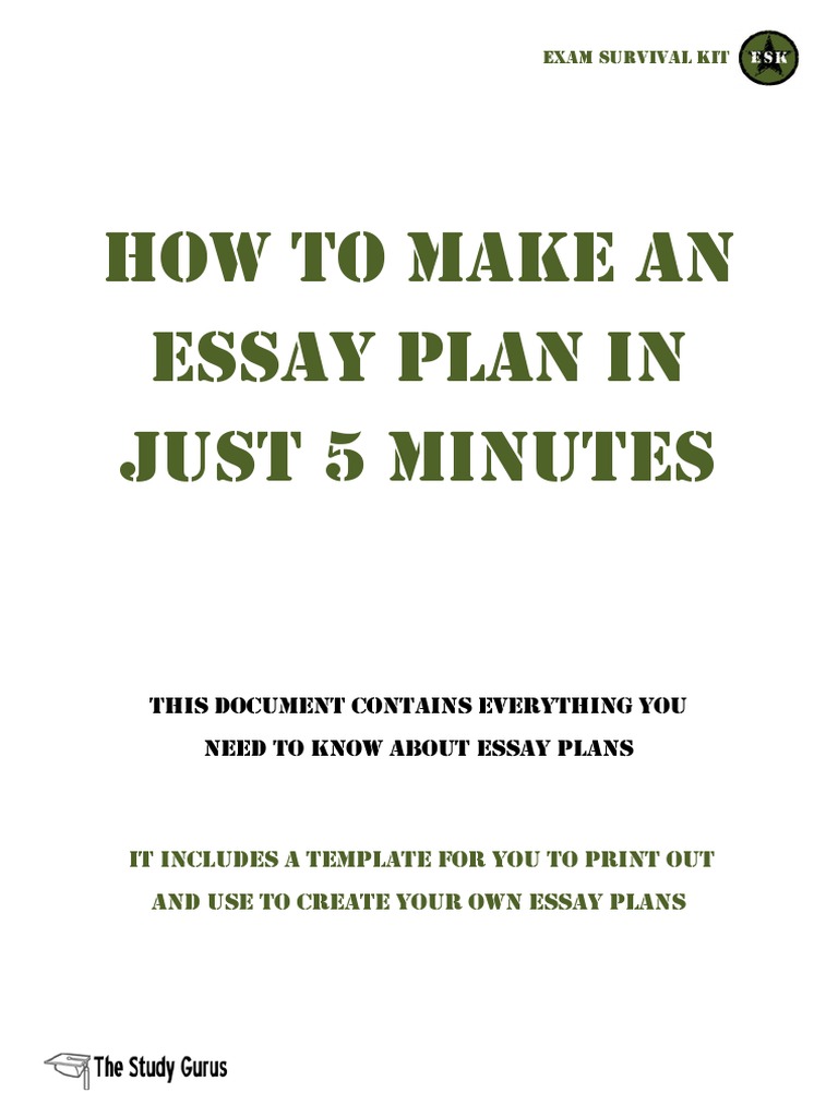 (TSG) Essay Plan Template PDF | PDF