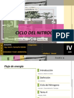 Ppt Ciclo Del Nitrogeno