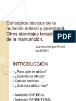 Conceptos Básicos de La Nutrición Enteral y Parenteral