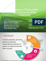 Sistema Drenante Imprimir