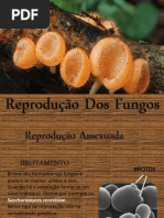 apresentao1-120503191448-phpapp01