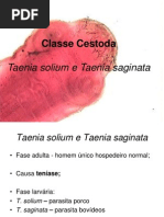 Taenia Solium e T. Saginata