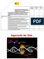 Clase 16-11-1 Tema V Reparacion Del Dna