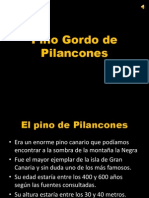 Pino de Pilancones