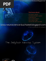 Download Jellyfish Nervous System by brain-neuroscience research team SN22484357 doc pdf