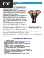 Elefante - Ficha do animal - Como funcionam os elefantes.