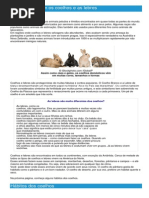 Coelhos e Lebres - Ficha do Animal - Como funcionam os coelhos e as lebres.