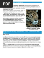 Onças - Ficha do animal - Como funciona a onça.