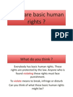 basic human rights