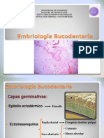 Embriologia Bucodental