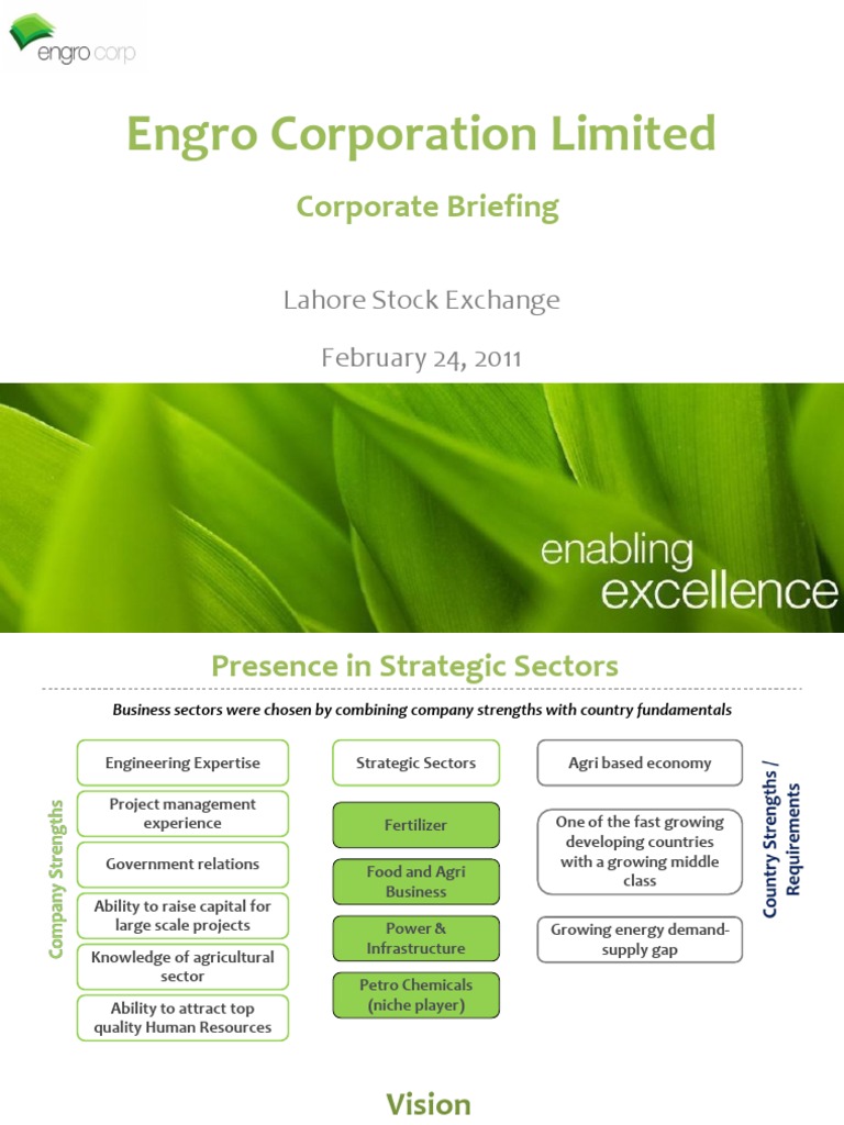 Engro Corporation Overview 2011 | PDF | Business | Economies