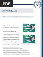ANATOMIA_DA_MA%C3%8C%C6%92O.pdf