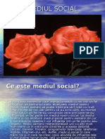 Mediul Social