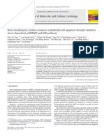 Bone Morphogenic Protein-4 Induces Endothelial Cell Apoptosis Through Oxidative Stress-Dependent p38MAPK and JNK Pathway