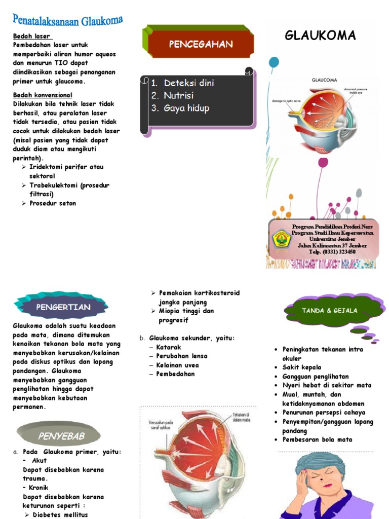 Leaflet Glaukoma Pdf