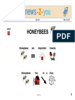 honeybees simplified