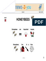 Honeybees Simplified