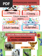 Download Organ Pernafasan Haiwan by Adrian Gonzalez SN225048279 doc pdf