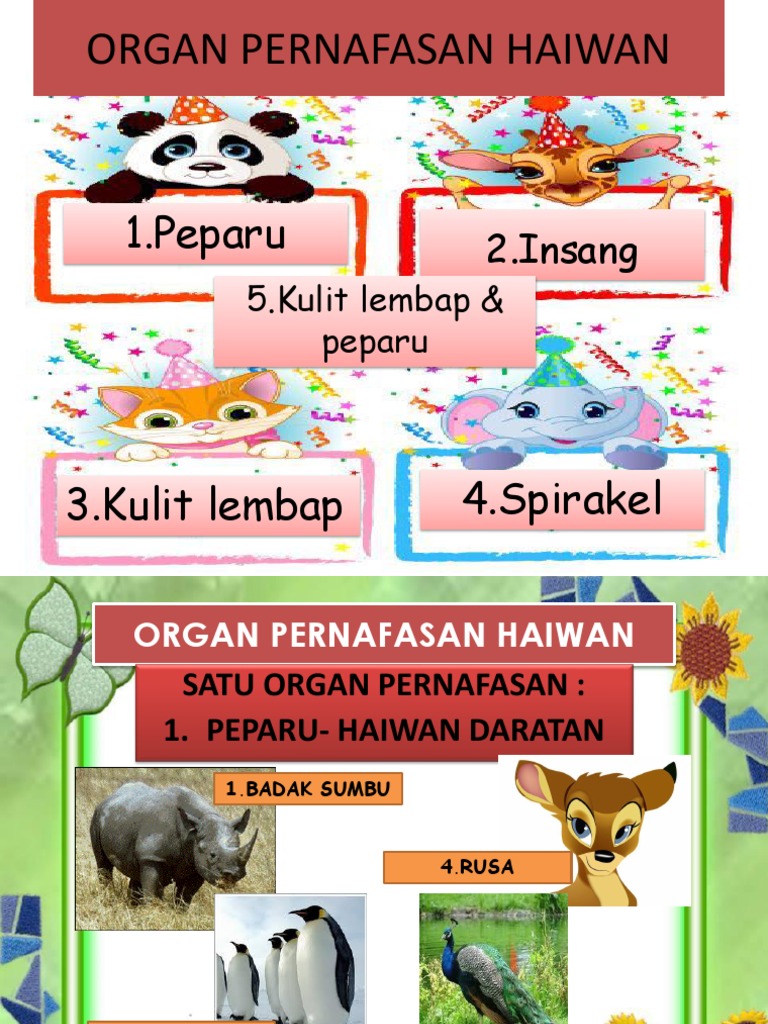 Organ Pernafasan Haiwan