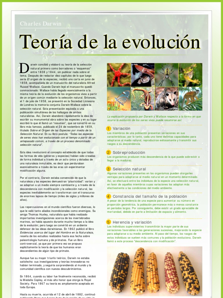 Teoría de la Selección Natural de Darwin | PDF | Charles Darwin | Evolución