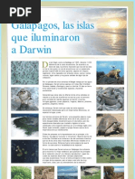 19 Galápagos