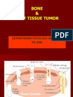 Bone Soft Tissue Tumor Umi