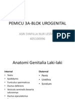Anatomi Genitalia Laki-laki dan Perempuan