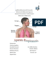Sistema respiratorio: anatomía, patologías y rol de enfermería